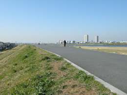 江戸川堤
